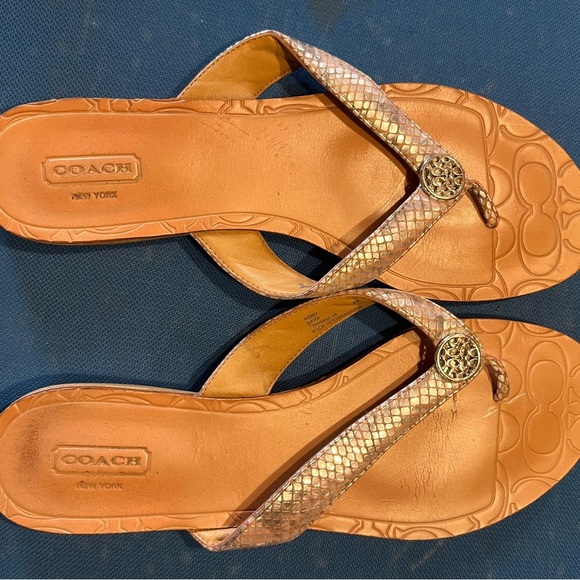 Coach Silver Sandals metallic snake Coach Sara Thong Sandals Women’s 8 - Picture 1 of 5